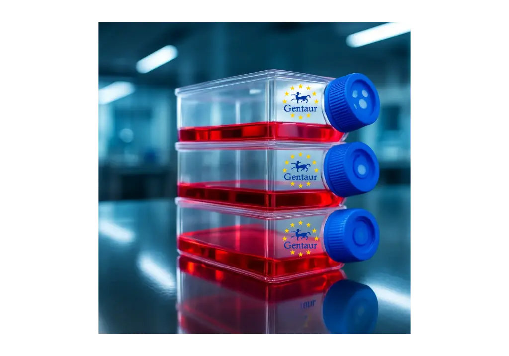 Primary BMMC Cell, Dog