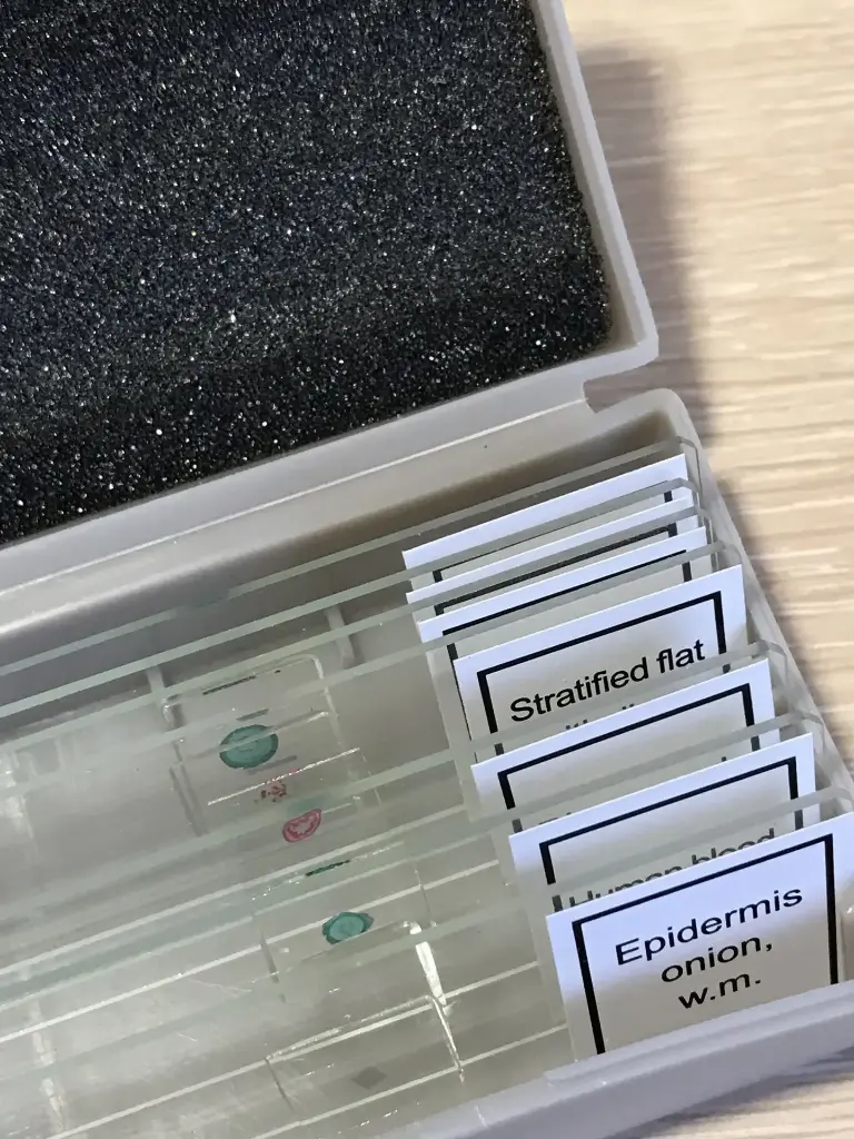 Positive Charged Microscope Slides for Cells, Frozen and Paraffin-Embedded Sections
